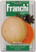 FRANCHIҼҡۡ91/7ۥꥢRAMPICANTE ZUCCHERINO