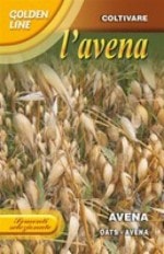 ��FRANCHI�Ҽ�ҡۡ�9/20�� �८ ����������AVENA