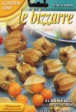 ��FRANCHI�Ҽ�ҡۡ�97/150�ۿ��ѥۥ�����