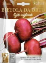 ��HORTUS�ҡۥӡ��ȥ롼�ȡʥӡ��ġˡ�da orto Egitto migliorata��10g��[0231][COD.14BAR0231]