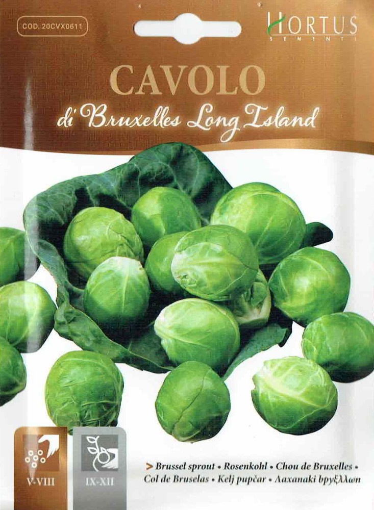 Hortus社 ブリュッセルスプラウツ 芽キャベツ Di Bruxelles Long Island 5g 0611 Cod cvx0611 野菜のタネ タネいも 葉 茎 花を食べる野菜のタネ キャベツのタネ 日光種苗オンラインショップ 本店