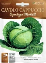 ��HORTUS�ҡۥ���٥ġ����ڥ�ϡ�����Copenhagen Market2��5g��[0771][COD.BSOCVC001]