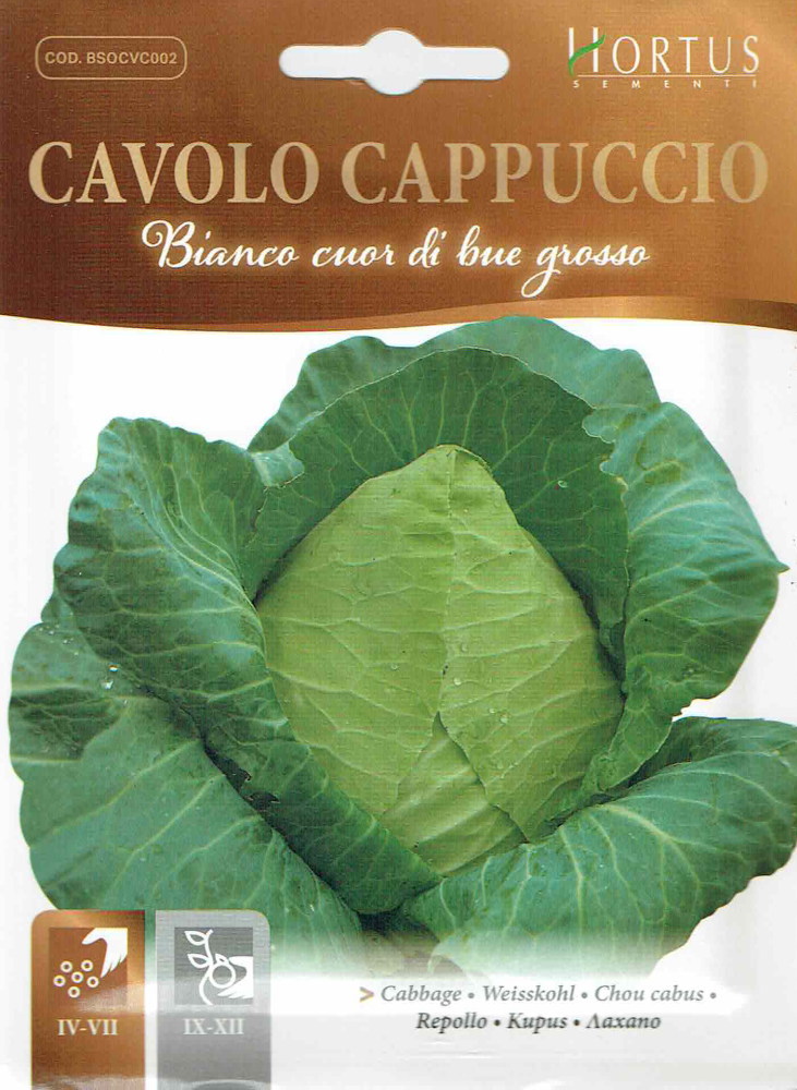 キャベツ HORTUS社】キャベツ Cappuccio bianco cuor di bue grosso グロッソ 5g