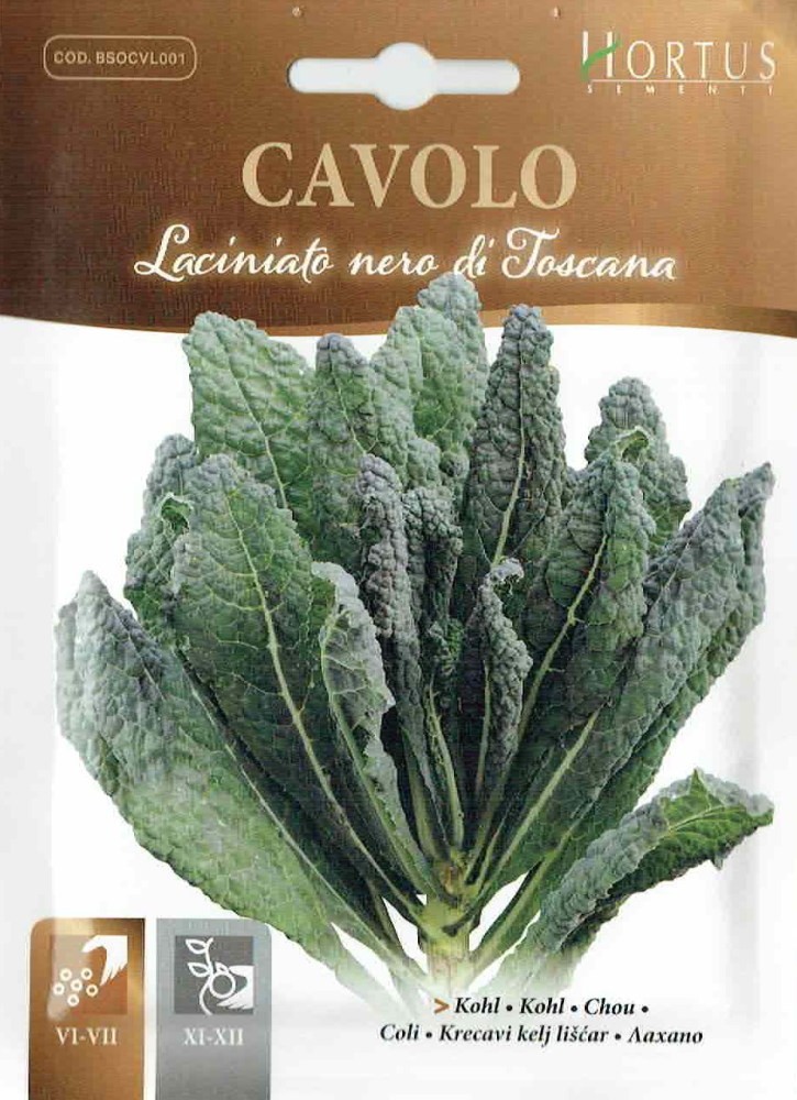 HORTUS社】カーボロネロ（クロキャベツ） Laciniato nero di Toscana