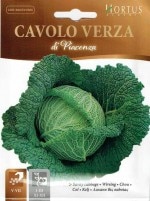 ��HORTUS�ҡۥ��ܥ�����٥ġ��ԥ��ĥ���ĥ���CAVOLO VERZA DI PIACENZA��5g��[1341][COD.BSOCVV006]