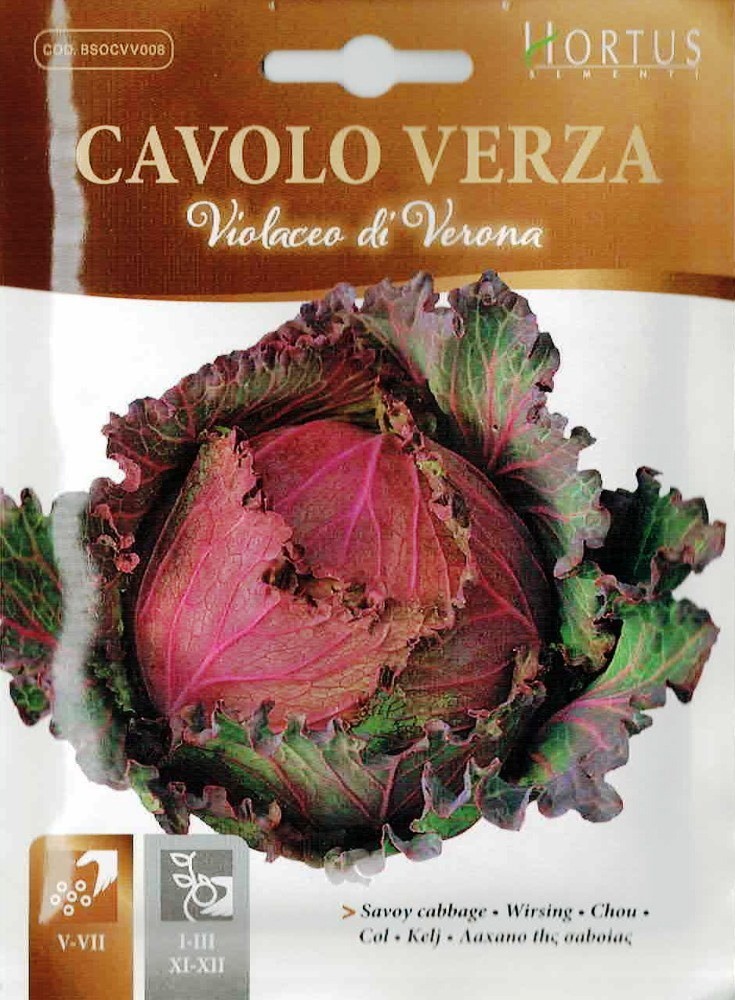 HORTUS社】サボイキャベツ Verza violaceo di verona 5g [1351][COD