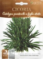 ��HORTUS�ҡۥ꡼�ե����꡼�ʥץ󥿥�å�ˡ��ե����ꥢ���ȥ�å���10g��[1661][COD.BSOCIC101]