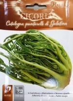 ��HORTUS�ҡۥ����ѥ饬�������꡼���ץ󥿥�å顡10g��[1671][COD.BSOCIC102]