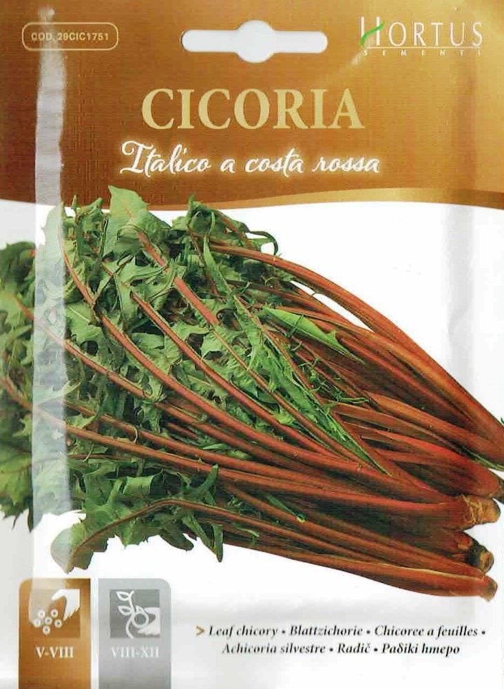 HORTUS社】リーフチコリー CICIRIA ITALICO A COSTA ROSSA 10g [1751