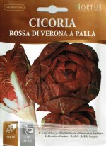 ��HORTUS�ҡۥ꡼�ե����꡼���٥����ʡ��ѥ顡Rossa di Verona a palla��10g��[1811][COD.BSOCIC1811]