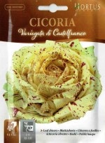 ��HORTUS�ҡۥ꡼�ե����꡼��Variegata di Castelfranco��10g��[1881][COD.BSOCIC012]