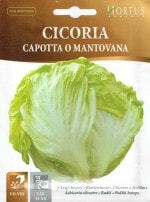 ��HORTUS�ҡۥ꡼�ե����꡼���ޥ�ȥ������� Capotta o Mantovana [�����̡�10g][COD:BSOCIC004][1941]