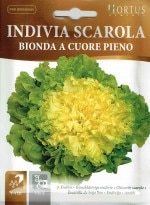 ��HORTUS�ҡۥ�������֡��ӥ������Scarola bionda cuore pieno��10g��[2671][COD.BSOENS007]