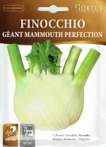 ��HORTUS�ҡۥե���ͥ롦�ޥ�⥹��Geant Mammouth perfection��7g��[2871][COD.BSOFIN006]