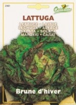 ��HORTUS�ҡۥ쥿���ʥ�ȥ�������[3101]