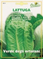 ��HORTUS�ҡۥ����ᥤ��쥿���ʥ����쥿���ˡ��������[3211]