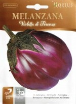 ��HORTUS�ҡۥʥ����ե���������Violetta di Firenze��2g��[3601][COD.BSOMLA001]