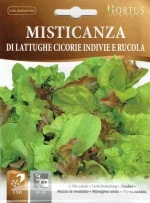 ��HORTUS�ҡۥ����ꥢ�󥵥���ͣɣء�Di lattughe cicorie indivie e rucola��8g��[4021][COD.BSOMST003]
