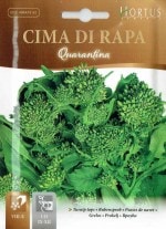 ��HORTUS�ҡۥ����˥åץȥåסʥ����ޡ��ǥ����顼�ѡ�<������>��40�����ϡˡ�Quarantina��10�硡[5161][COD.45RAP5161]