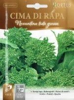 ��HORTUS�ҡۥ����˥åץȥåסʥ����ޡ��ǥ����顼�ѡˡ�90�����ϡˡ�Novantina testa grossa��10g��[5211][COD.45RAP5211][COD.BSORAC005]