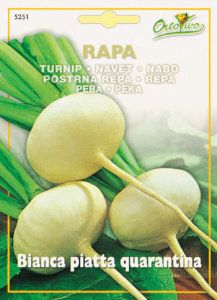 ��HORTUS�ҡۥ����˥åס��ӥ��� (����) [5251]