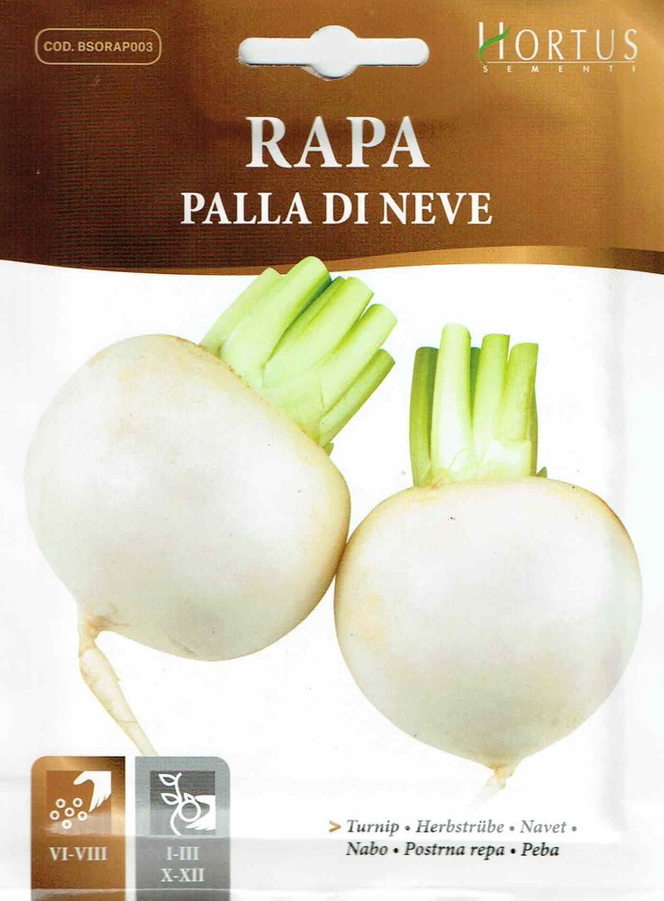 ��HORTUS�ҡۥ����˥åס��ѥ顡�ǥ����͡�������palla di neve (����) ��10g��[COD.BSORAP003][5271]