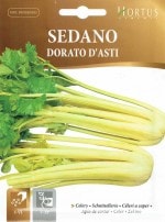 ��HORTUS�ҡۥ���꡼�������ƥ� Dorato d�� Asti [�����̡�4g] [COD.BSOSED002][5781]