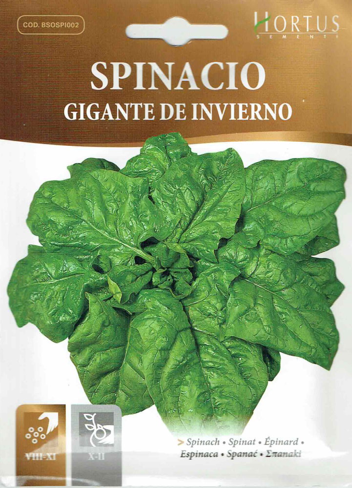 ��HORTUS�ҡۥۥ���󥽥������㥤����ȡ�15g��[5911][COD.BSOSI002]