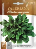 ��HORTUS�ҡۥޡ�����ʥ�����ꥢ���ʡˡ�D