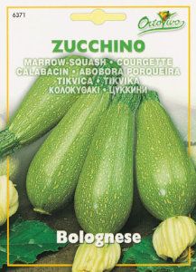 HORTUS社】ズッキーニ・ボロネーゼ[6371] | 【メーカー名からタネを