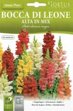 ��HORTUS�ۥ��󥮥祽����[�����̡�0.5g][b034][COD.BGFBLA001]