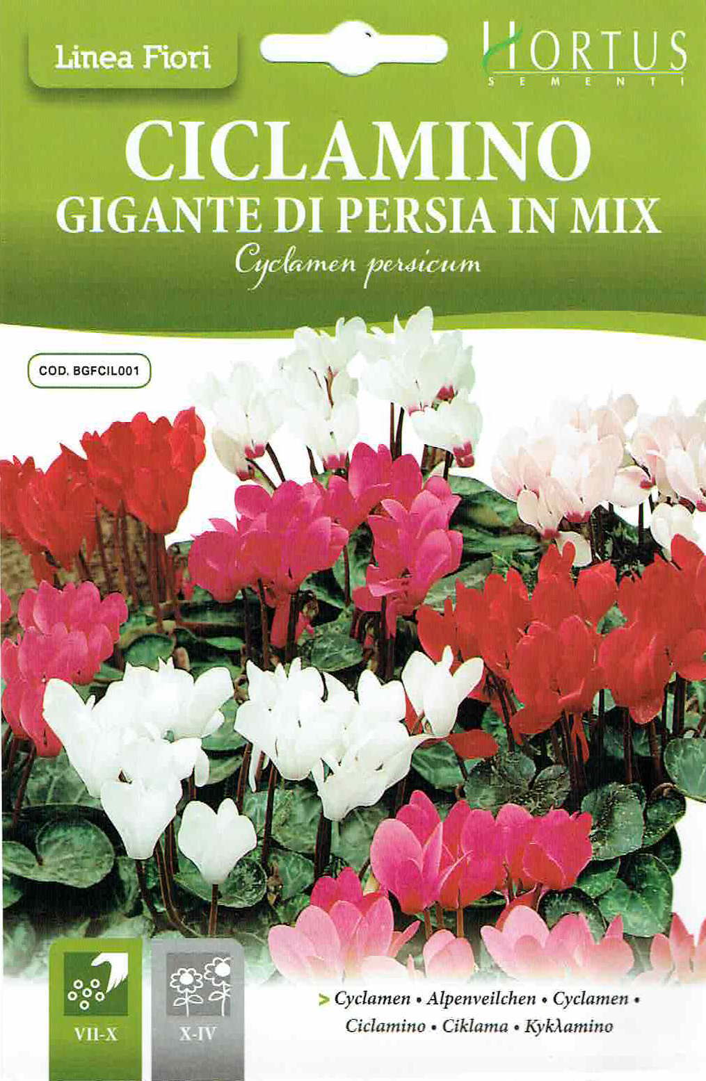 HORTUSҡۥ0.01g[c154][COD.BGFCIL001]͹б