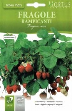 HORTUS�ҡ�����ѥ��󥹥ȥ��٥꡼��Fragole-rampicanti��(�����̡�0.15g)��[f014][COD.BGFFRA001]