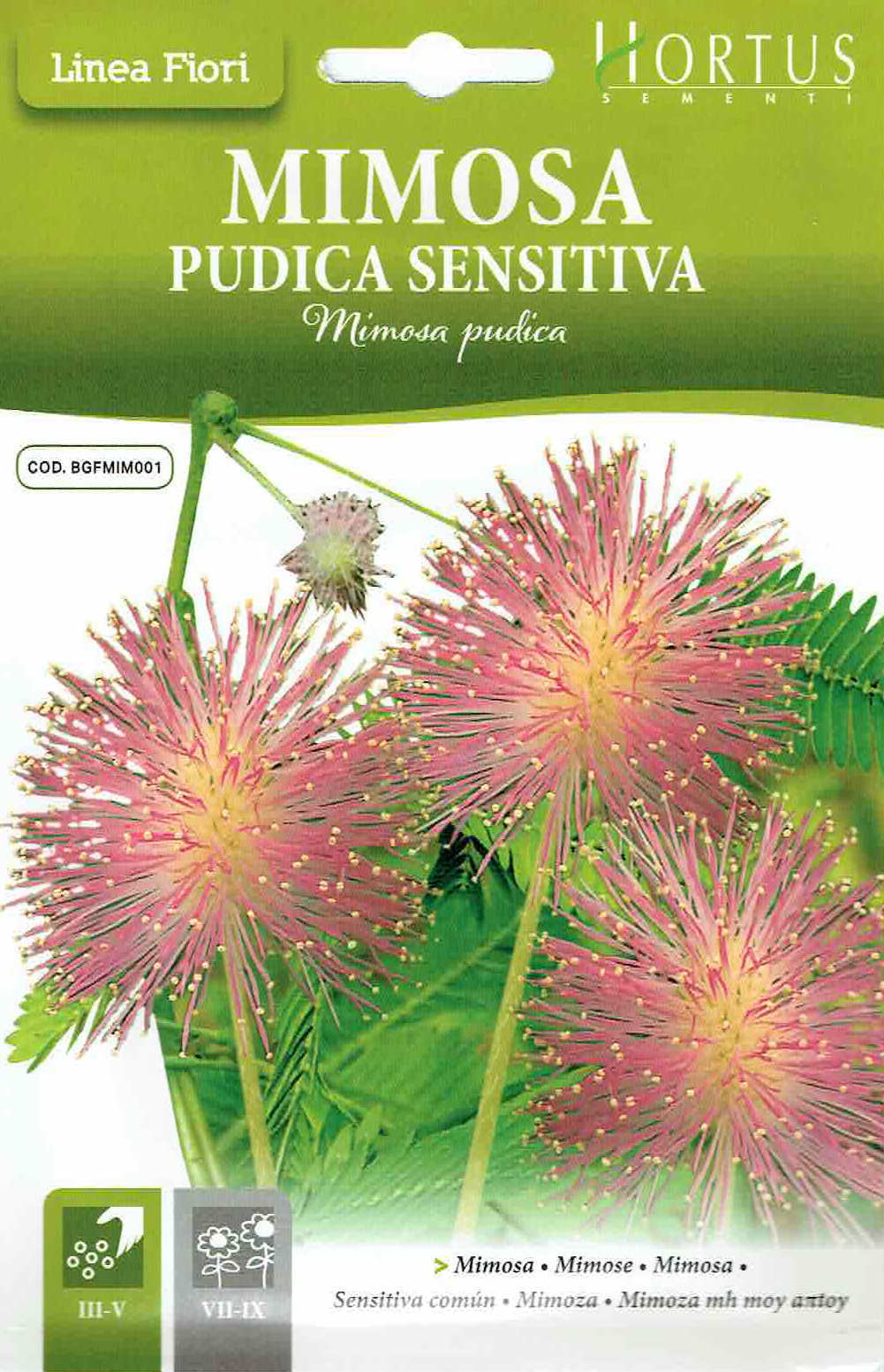 HORTUS社】オジギソウ（ミモザ） 0.5g [m064][COD.BGFMIM001]【郵送