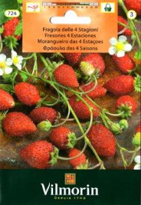 VilmorinҡۥʤˡDES 4 SAISONS724