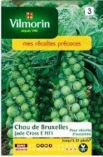 ��Vilmorin�ҡۥ֥��å��륹�ץ饦�ȡ�jade Cross E HF1