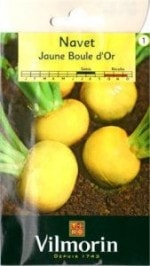 Vilmorinҡۥ˥åסJaune Boule d