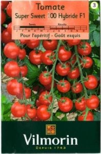 トマト やさいバス/◇樹上完熟◇【オレンジミニトマト】1kgからでも購入可能