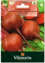 ��Vilmorin�ҡۥӡ��ġ�Detroit