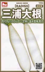 ġ󡡻纬Υ͡[̡8ml]1556ۡڽۡʤߤ