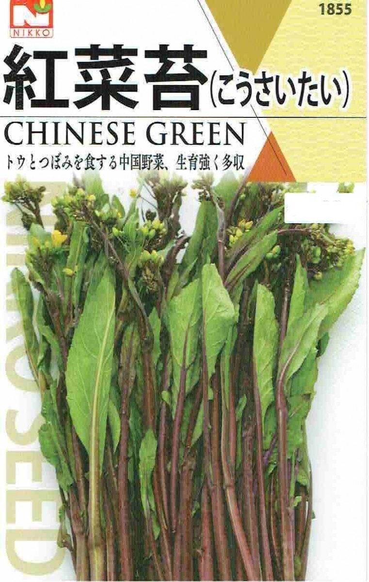 日光種苗 紅菜苔のタネ [内容量：5ml]【1855】【秋】（こうさいたい