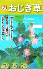 �������ġ���������ʤ����������������������ˤΥ��͡�[�����̡�0.4ml] ��1003�ۡڽա�