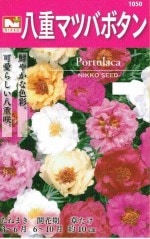 �������ġ�Ȭ�ťޥĥХܥ���ʾ��ղ�ð�ˤΥ��͡�[�����̡�0.3ml]��1050�ۡڽա�