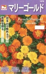 �������ġ��ޥ꡼������ɤΥ��͡�������:2ml�ϡ�1078�ۡڽա�