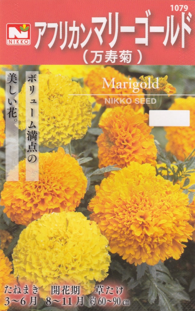 ġեꥫޥ꡼ɡơˤΥ͡:3mlϡ1079ۡڽա