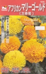 �������ġ����եꥫ��ޥ꡼������ɡ������ơˤΥ��͡�������:3ml�ϡ�1079�ۡڽա�