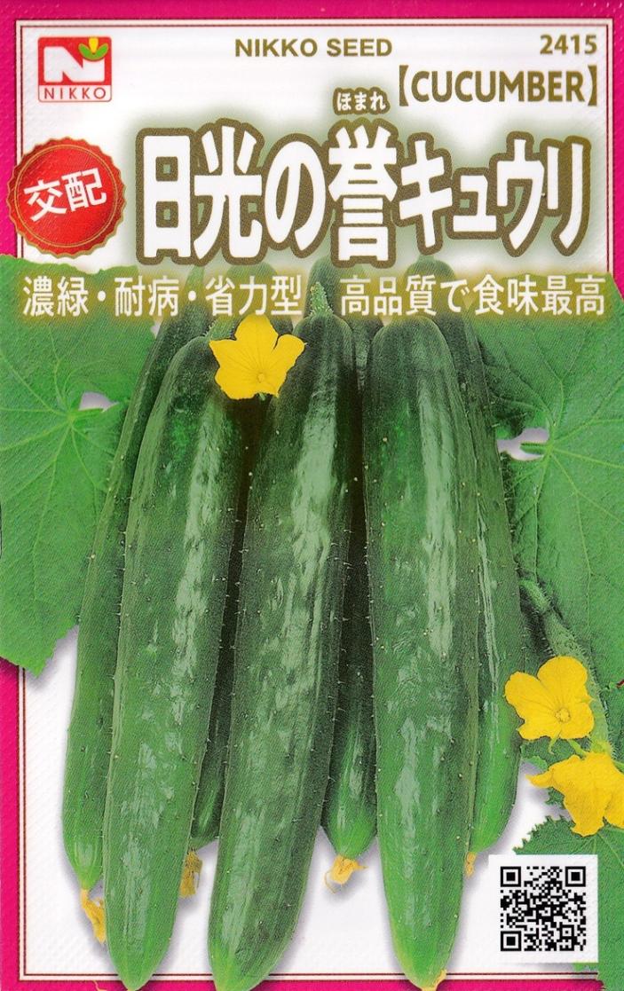 支柱1本で栽培OK！「ツルラクきゅうり」9cmポット苗【4月中旬～5月