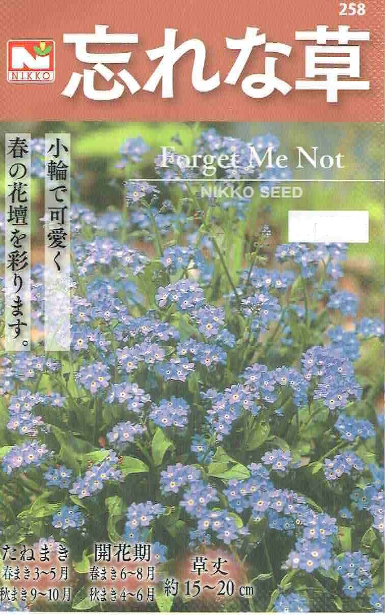 日光種苗 忘れな草（わすれなぐさ・ワスレナグサ）のタネ[内容量：0.2