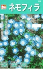 ġͥեʥ󥷥˥֥롼ˤΥ͡:10ml