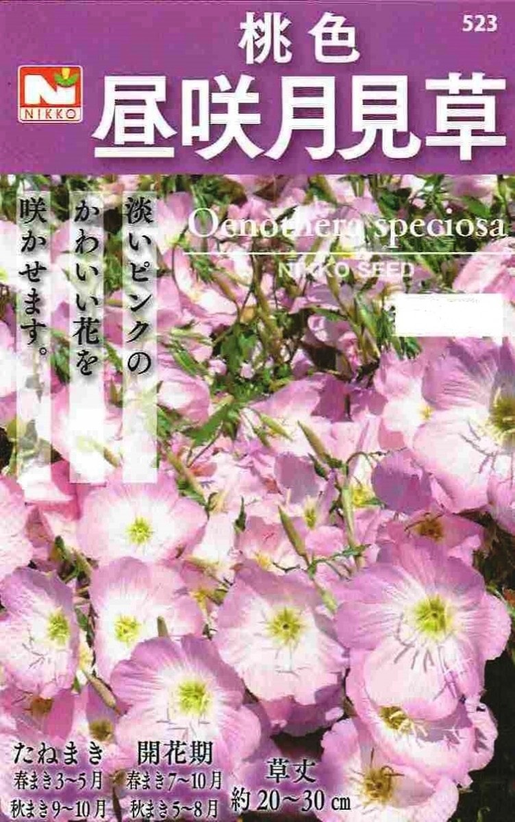 日光種苗 桃色昼咲月見草のタネ [内容量：0.2ml]【523】 | 【メーカー